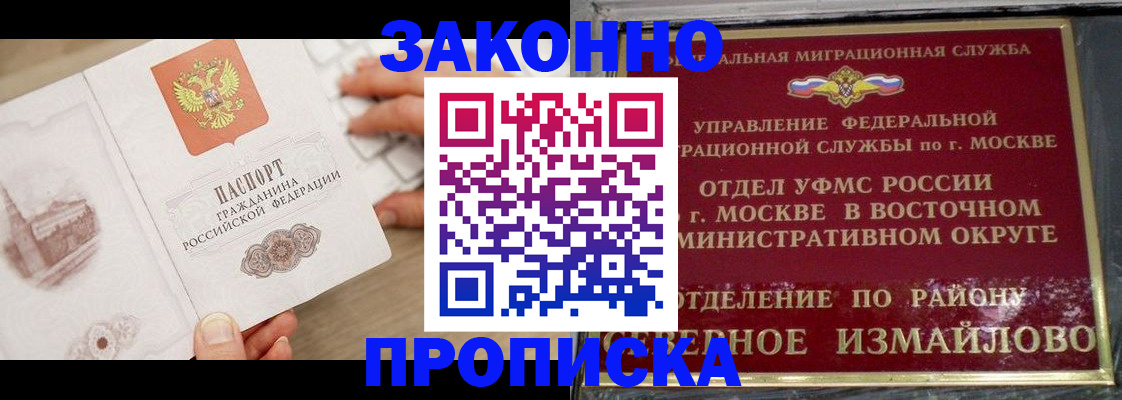 прописка поиск в Звенигово